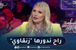 أمل وهبي: معنديش حدود في الموسيقى ونخدم كل شيء معاصر ونهتم بالكلام والموضوع