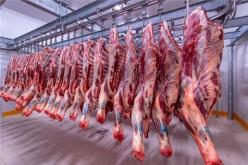 توقعات بتراجع أسعار اللحوم لهذا السبب