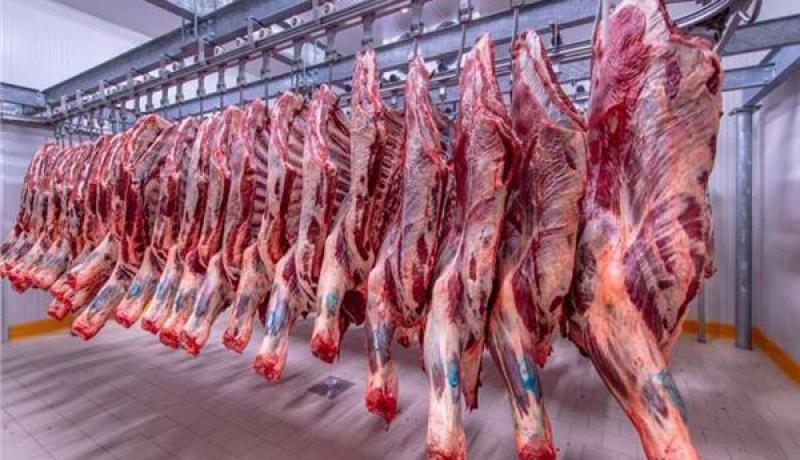 توقعات بتراجع أسعار اللحوم لهذا السبب