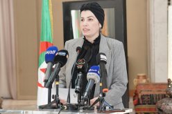 إنطلاق أول ورشة حول التكوين الفني في الجزائر