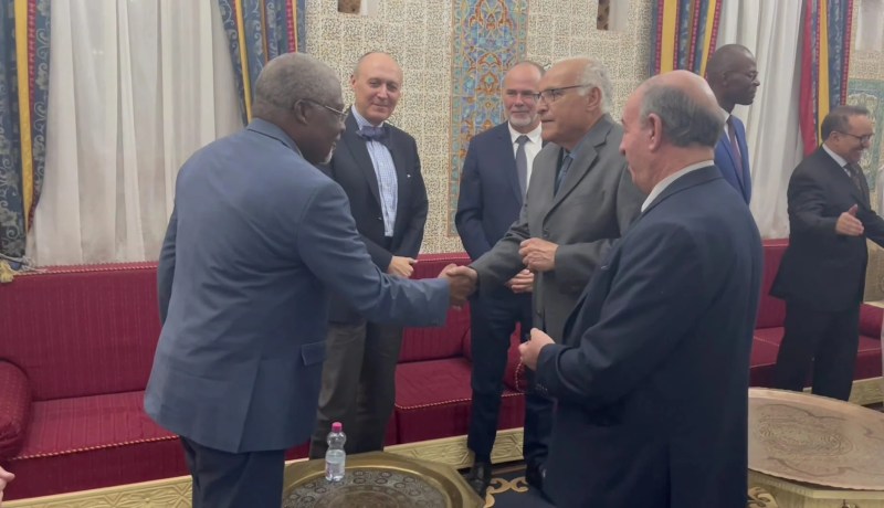 وزير الخارجية يتباحث مع ممثلي الحركات المالية لاستكمال مسار السلم والمصالحة