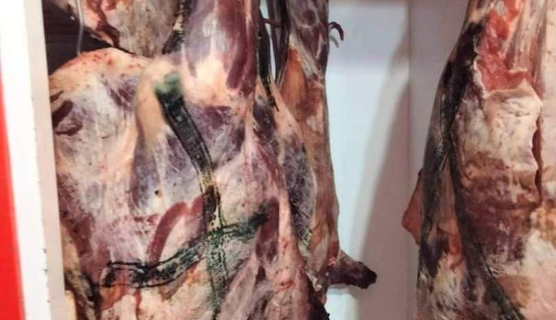 بشار: حجز كمية معتبرة من اللحوم البيضاء والحمراء فاسدة ومواد التنظيف منتهية الصلاحية
