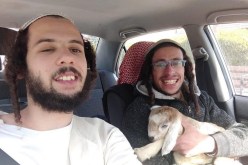 اعتقال مستوطنين خططا لذبح قربان في المسجد الأقصى