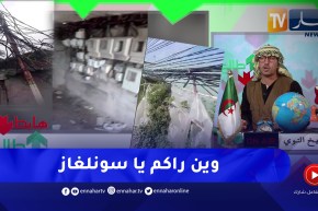 الشيخ النوي: ظاهرة غريبة عجيبة من سونلغاز في برج الكيفان.. أسلاك الكهرباء متشابكة كأنها خيوط عنكبوت