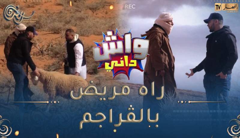 واش داني /بلال راح عند الراعي قالو أغسل أسنان كباشك باش يشوفوهم السيّاح🤣🤣الرّاعي مخّو حبس