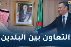 بالصور.. وزير الشباب والرياضة يستقبل نظيره السعودي