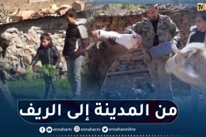 مصباح غزال.. من بطالة المدينة إلى الريف والنشاط الفلاحي