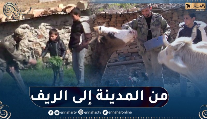 مصباح غزال.. من بطالة المدينة إلى الريف والنشاط الفلاحي