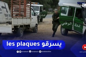 مصالح الدرك الوطني توقف 3 أشخاص بتهمة سرقة ممتلكات عمومية بقالمة