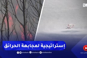 تزامنا وموسم الصيف.. هذه هي إستراتيجية القطاع لمجابهة حرائق الغابات