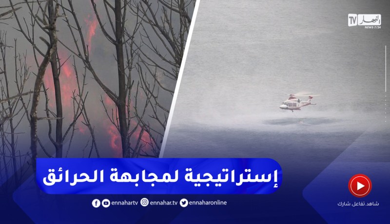 تزامنا وموسم الصيف.. هذه هي إستراتيجية القطاع لمجابهة حرائق الغابات