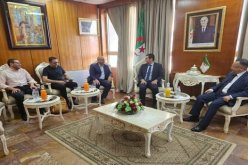وزير التعليم العالي يلتقي نخبة من الأساتذة الباحثين الجزائريين المقيمين بالخارج
