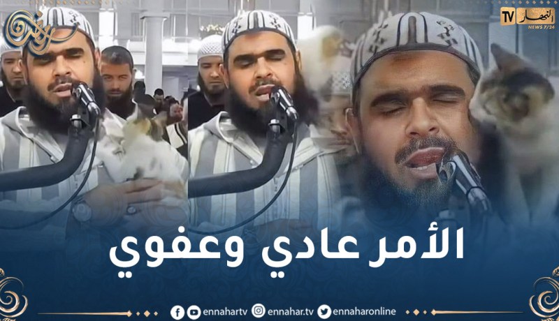 الإمام وليد مهساس يتحدث لأول مرة عن حادثة القطة