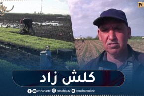 الطارف : شعبة الطماطم الصناعية..تراجع في الإنتاج والسبب نقص الأمطار