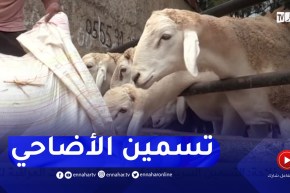 التسمين السريع للأضاحي..تكثيف حملات المراقبة لتجنب تعفن اللحوم