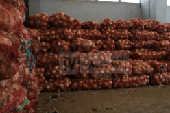 7 سنوات سجنا نافذا للمتهم بالمضاربة في البصل