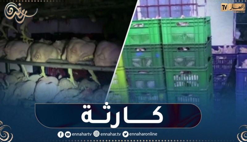 بومرداس/ مداهمة مستودع سري يُستغل كمـ_ذبح غير معتمد بخميس الخشنة