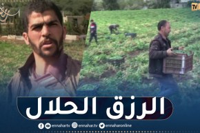 رغم الصيام.. شباب يجتهدون لكسب الرزق الحلال عبر حقول “الجلبانة”