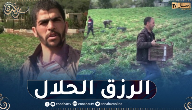 رغم الصيام.. شباب يجتهدون لكسب الرزق الحلال عبر حقول “الجلبانة”