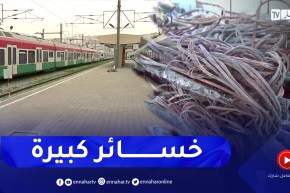 سرقة المعدات الكهربائية لوسائل النقل السككي .. خسائر إقتصادية وتعطيل لمصالح المواطنين