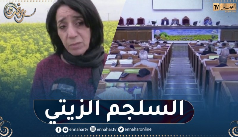 تيارت: مليون و300 ألف لتر من الزيوت الجزائرية قريبا في السوق
