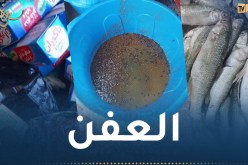 حجز 10 قناطير من اللحوم الحمراء والبيضاء والسمك الفاسدة