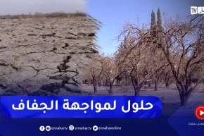 فلاحة: في حال الإعلان عن موسم جاف .. ماهي التدابير المتوقعة لمجابهة الأزمة