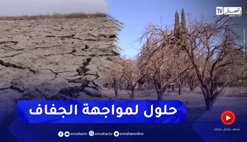فلاحة: في حال الإعلان عن موسم جاف .. ماهي التدابير المتوقعة لمجابهة الأزمة