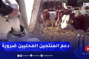 فلاحة: تحسين المردودية وجودة الحليب الطازج .. لضمان حصة في الملابن