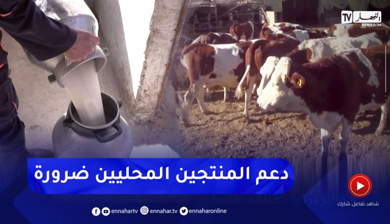 فلاحة: تحسين المردودية وجودة الحليب الطازج .. لضمان حصة في الملابن