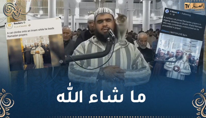 رسالة الإسلام تصل لقلوب البشر بأقل التكاليف.. تداول عالمي لمقطع الإمام الجزائري مع القط