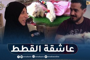 إيمان.. سيدة تحول بيتها إلى مأوى للقطط