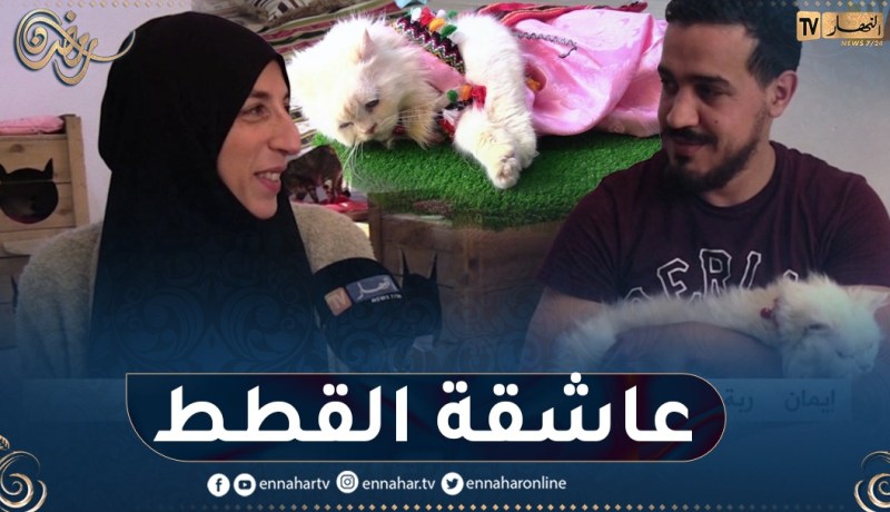إيمان.. سيدة تحول بيتها إلى مأوى للقطط