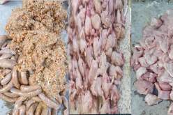 سطيف.. حجز 2.5 قنطار من اللحوم البيضاء و”المرقاز”