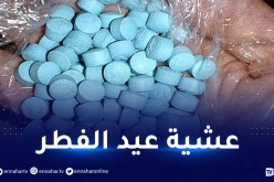 من بينها في ميناء وهران.. حجز أكثر من 184 ألف مهلوسات وتوقيف 16 شخصا