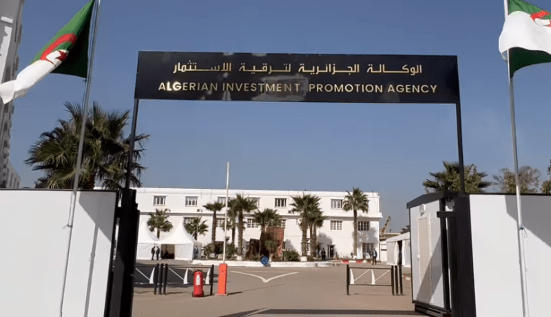 تسجيل أكثر من 1600 مشروع استثمار خلال 5 أشهر