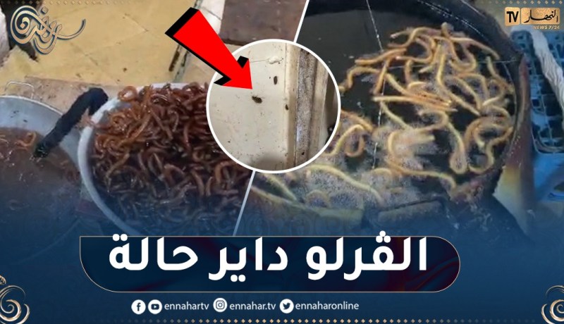 مداهمات لأعوان المراقبة لمحلات تحضير الحلويات الشرقية بوهران..الوسخ في كل مكان والغرلو معشش