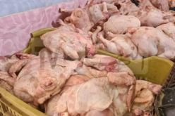 سيدي بلعباس.. حجز أكثر من قنطار  “لحوم بيضاء فاسدة”