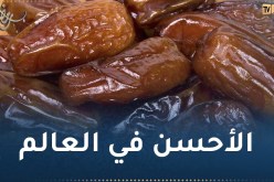دقْلة نور الجزائرية تتصدر ترتيب أفضل تمور العالم