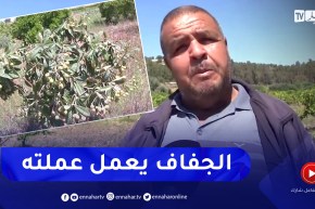 سكيكدة: ألاف الأشجار المثمرة مهددة بسبب الجفاف بعدة بلديات