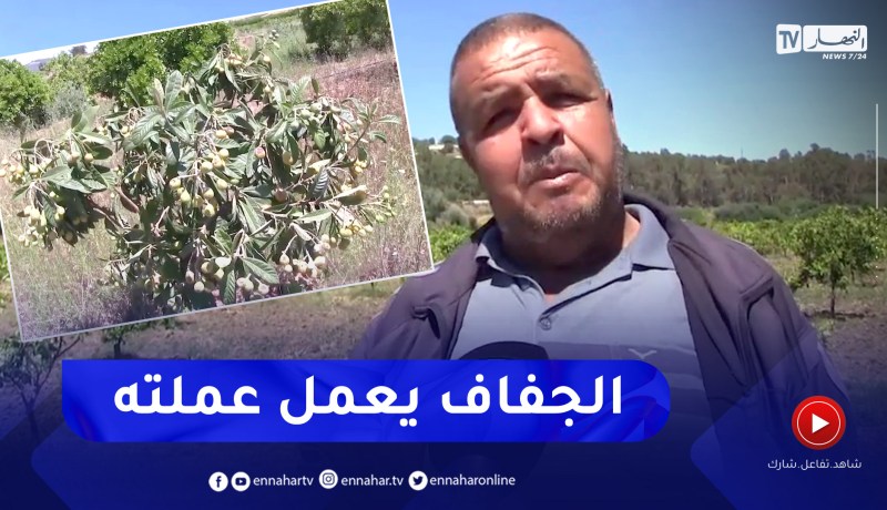 سكيكدة: ألاف الأشجار المثمرة مهددة بسبب الجفاف بعدة بلديات