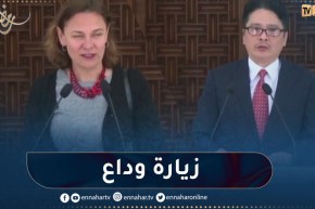 الرئيس تبون يستقبل سفيري جمهوريتي التشيك وفيتنام بعد إنتهاء مهامهما