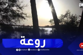 سيدي بلعباس : بحيرة سيدي محمد بن علي..راحة و هدوء بحاجة للاهتمام