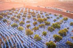 هيبة ووقار.. فيديو صلاة العيد في غرداية يغزو مواقع التواصل