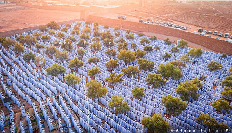 هيبة ووقار.. فيديو صلاة العيد في غرداية يغزو مواقع التواصل