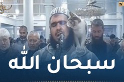 فيديو غازل قلوب الملايين.. قطة تتصدر تريند فيسبوك في صلاة التراويح بالجزائر