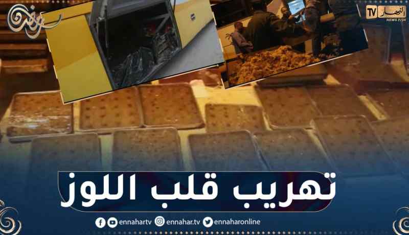الوادي: حجز 387 كلغ “قلب اللوز” داخل حافلة لنقل المسافرين 😨