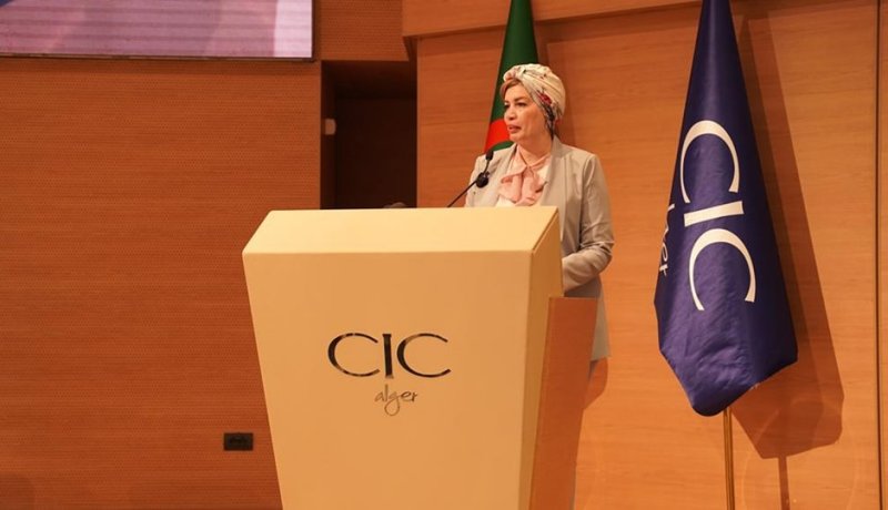 إنطلاق الجلسات الوطنية حول سياسة الصناعة السينماتوغرافية في الجزائر