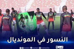 مالي يحسم التأهل لمونديال أقل من 17 سنة للمرّة السادسة