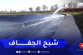 شبح الجفاف .. ضرورة الاعتماد على التقنيات الحديثة للري